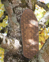 Extremely Limited Teaken Broken Arm First Try Skateboard Deck Braille Skateboarding 